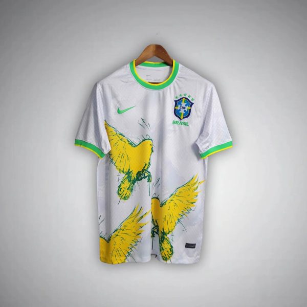 394.jpg BRAZIL CANARINHO FLIGHT 2025 | SPECIAL EDITION