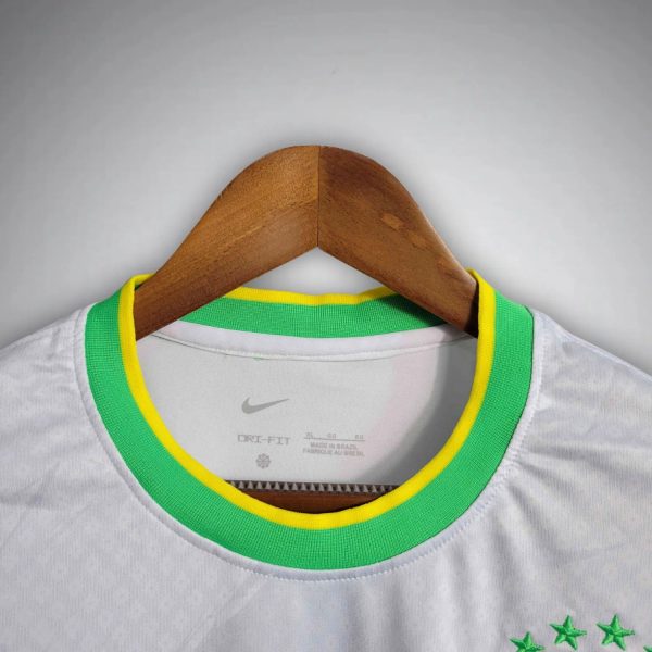 396.jpg BRAZIL CANARINHO FLIGHT 2025 | SPECIAL EDITION