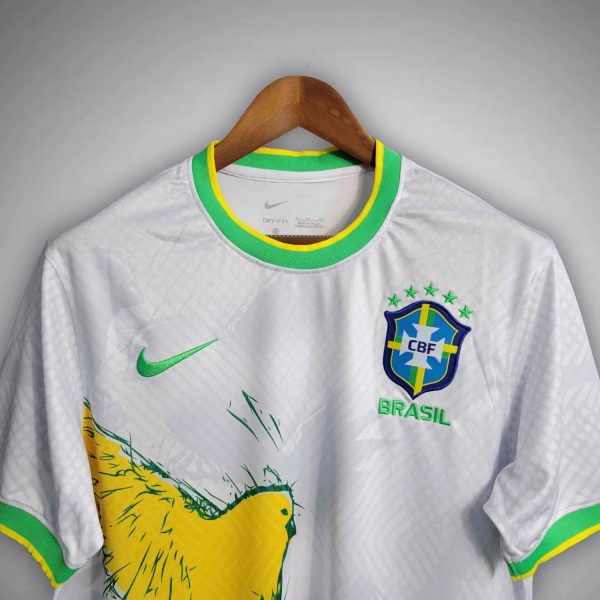399.jpg BRAZIL CANARINHO FLIGHT 2025 | SPECIAL EDITION
