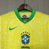 big-670.jpg BRAZILIË 2024/25