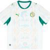 4069162348302-1_mf1aaawlebnoyzlg_2bad6fab-10d2-4797-acb9-d267758dac40.jpg SENEGAL 2026/27 WK