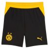 BORUSSIA DORTMUND JUNIOR 2026/27