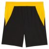 BORUSSIA DORTMUND JUNIOR 2026/27